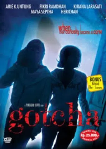 gotcha 2006 poster