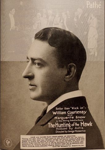 the hunting of the hawk 1917 poster