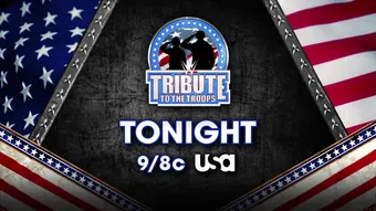 wwe tribute to the troops 2003 poster