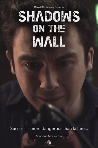 shadows on the wall 2015 poster