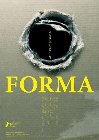 forma 2013 poster