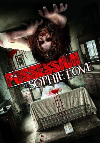 the possession of sophie love 2013 poster