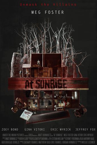 at sunrise poster