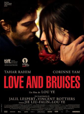 love and bruises 2011 poster