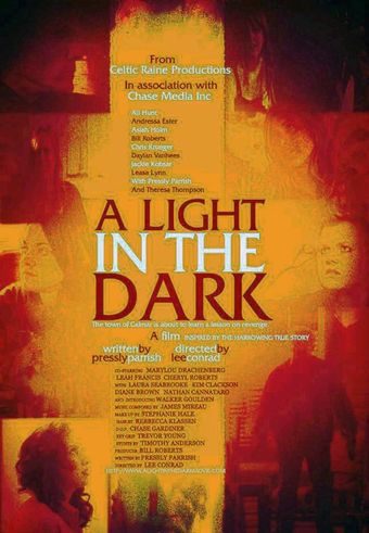 a light in the dark 2012 poster