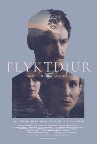 flyktdjur poster