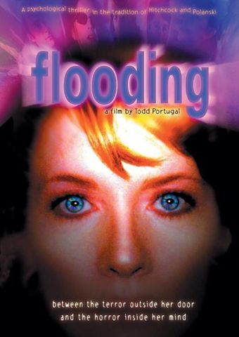 flooding 2000 poster