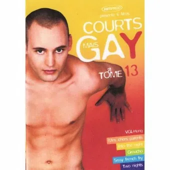 courts mais gay: tome 13 2007 poster