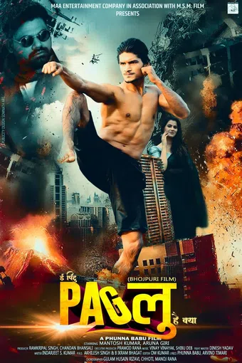 ee pintu paglu hai kya 2019 poster