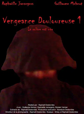 vengeance douloureuse 1: la colère est née 2011 poster