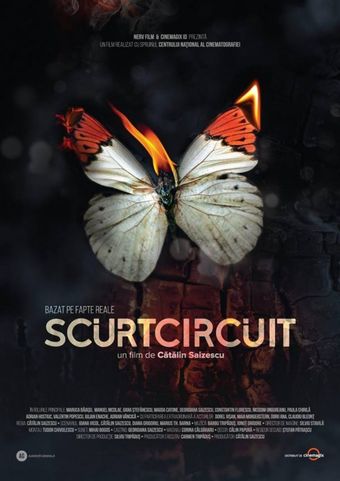 scurtcircuit 2017 poster