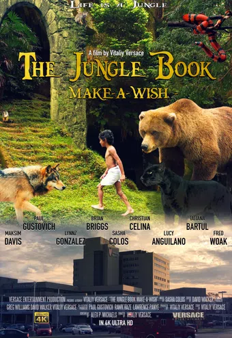 the jungle book: make-a-wish 2016 poster