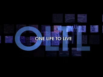 one life to live 2013 poster