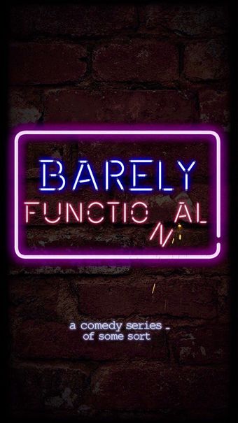 barely functional 2018 poster