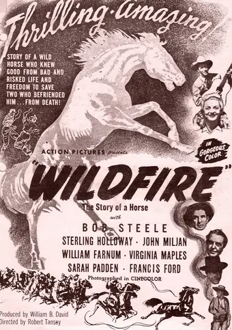 wildfire 1945 poster