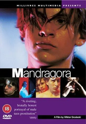 mandragora 1997 poster