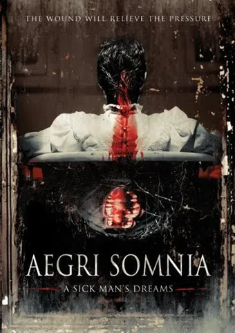 aegri somnia 2008 poster