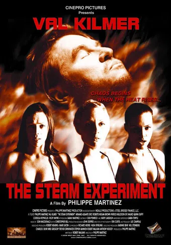 the steam experiment 2009 poster