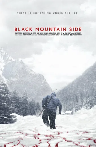 black mountain side 2014 poster