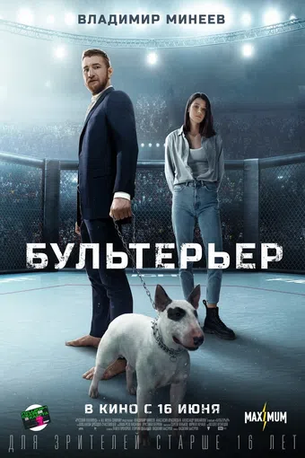 bullterrier 2022 poster