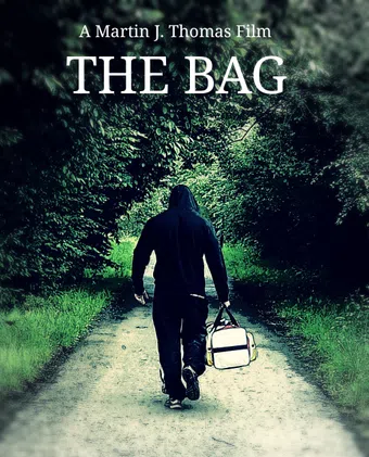 the bag 2017 poster