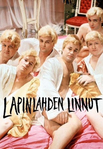 lapinlahden linnut! 1995 poster