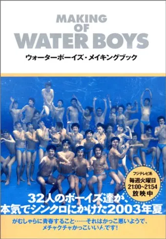 waterboys 2003 poster