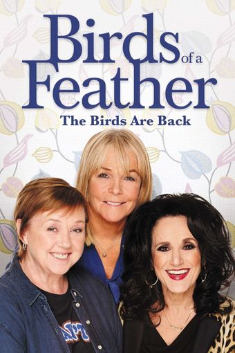 birds of a feather 1989 poster