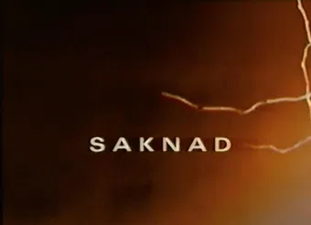 saknad 2003 poster