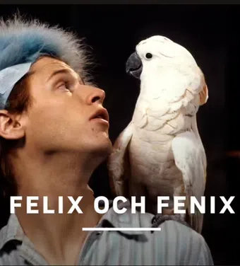 felix & fenix 1991 poster