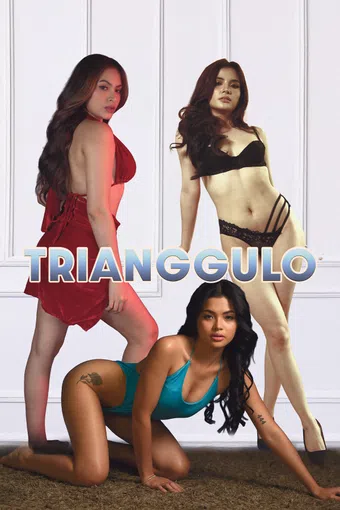 trianggulo 2025 poster