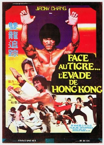 bruce lee's dragons fight back 1985 poster