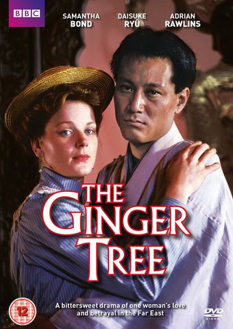 the ginger tree 1989 poster