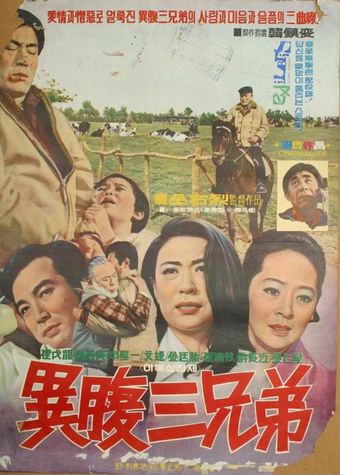 ibok 3 hyeongje 1971 poster