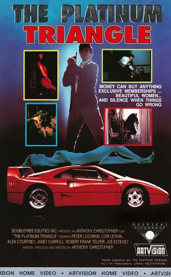 the platinum triangle 1990 poster