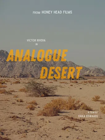 analogue desert poster