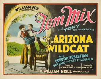 the arizona wildcat 1927 poster