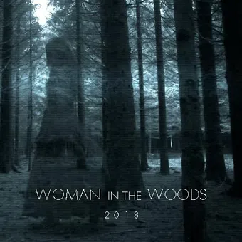 woman in the wood poster