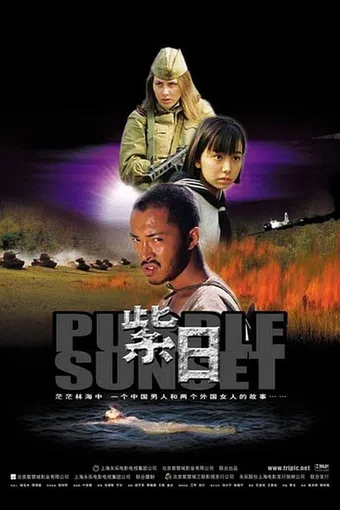 zi ri 2001 poster