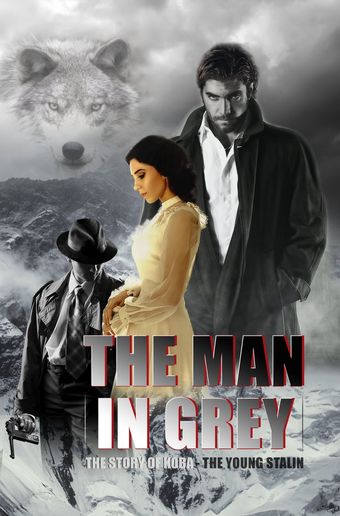 the man in grey poster