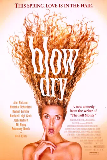 blow dry 2001 poster