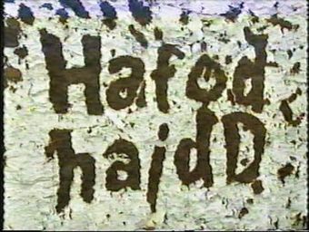 hafod haidd 1998 poster