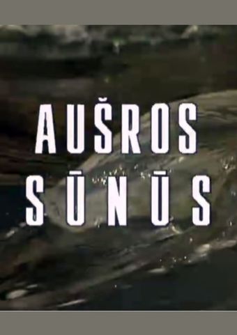 ausros sunus 1998 poster