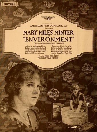 environment 1917 poster