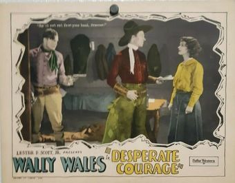 desperate courage 1928 poster