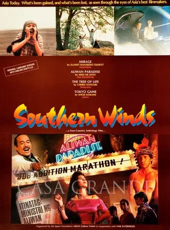 southern winds 1993 poster