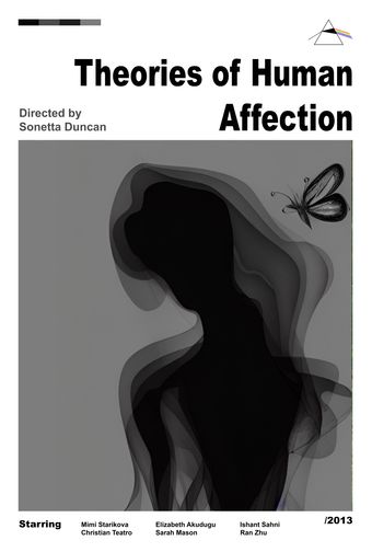 theories of human affection 2013 poster