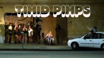 timid pimps 2014 poster