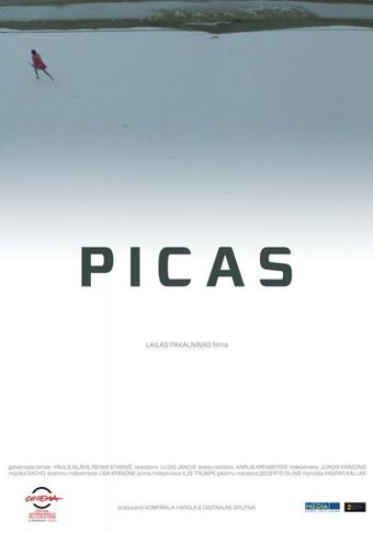 picas 2012 poster