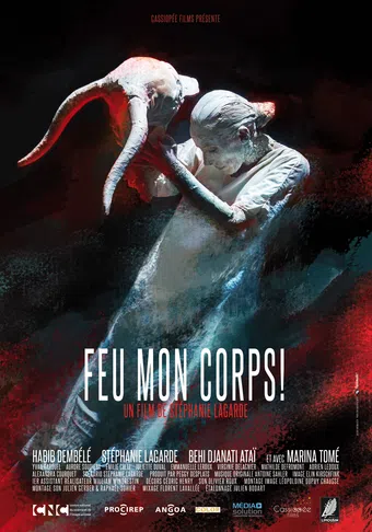 feu mon corps 2016 poster